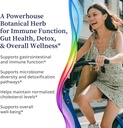 organic-high-allicin-garlic-supplement-for-immune-support-detox-gut-health-60-capsules-with-trace-minerals-vitamins-amino-acids-enzymes-biopure-formula-for-overall-wellness-04-organic-high-allicin-garlic-supplement-for-immune--4.jpg