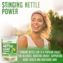 premium-usda-organic-nettle-leaf-powder-for-hair-and-nails-vegan-friendly-energy-boosting-supplement-4-oz-02-premium-usda-organic-nettle-leaf-powder-for-hair-a-2_e2f12c52-ef87-45fa-9598-91404a0361f7.jpg