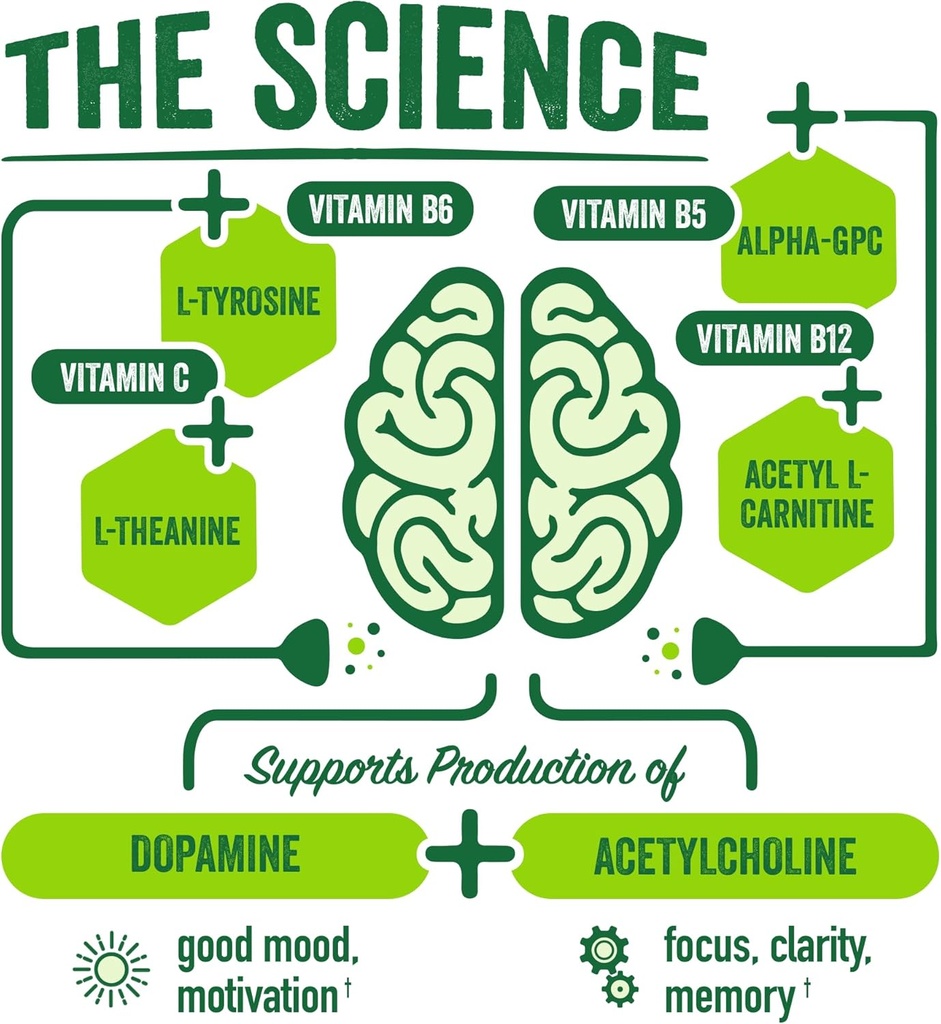 organic-brainjuice-nootropic-powder-drink-mix-for-energy-and-focus-gluten-free-with-l-theanine-alpha-gpc-vitamin-b-green-tea-extract-caffeine-15-servings-03-organic-brainjuice-nootropic-powder-drink-mix-for--3.jpg