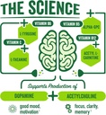 organic-brainjuice-nootropic-powder-drink-mix-for-energy-and-focus-gluten-free-with-l-theanine-alpha-gpc-vitamin-b-green-tea-extract-caffeine-15-servings-03-organic-brainjuice-nootropic-powder-drink-mix-for--3.jpg