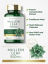 organic-mullein-leaf-extract-capsules-1500mg-200-count-verbascum-thapsus-supplement-non-gmo-gluten-free-02-organic-mullein-leaf-extract-capsules-1500mg---200-3.jpg
