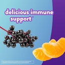 45ct-vitafusion-super-immune-support-gummy-vitamins-for-daily-health-boost-03-45ct-vitafusion-super-immune-support-gummy-vitamin-3.jpg