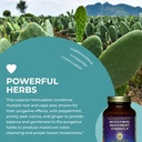 healthforce-superfoods-variety-pack-liver-rescue-intestinal-movement-formula-120-vegancaps-each-04-healthforce-superfoods-variety-pack-liver-rescue-i-5.jpg