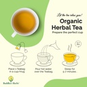 organic-echinacea-herbal-tea-supplement-with-zinc-turmeric-ginger-lemongrass-for-immune-support-2-pack-44-tea-bags-by-buddhas-herbs-02-organic-echinacea-herbal-tea-supplement-with-zinc--5.jpg