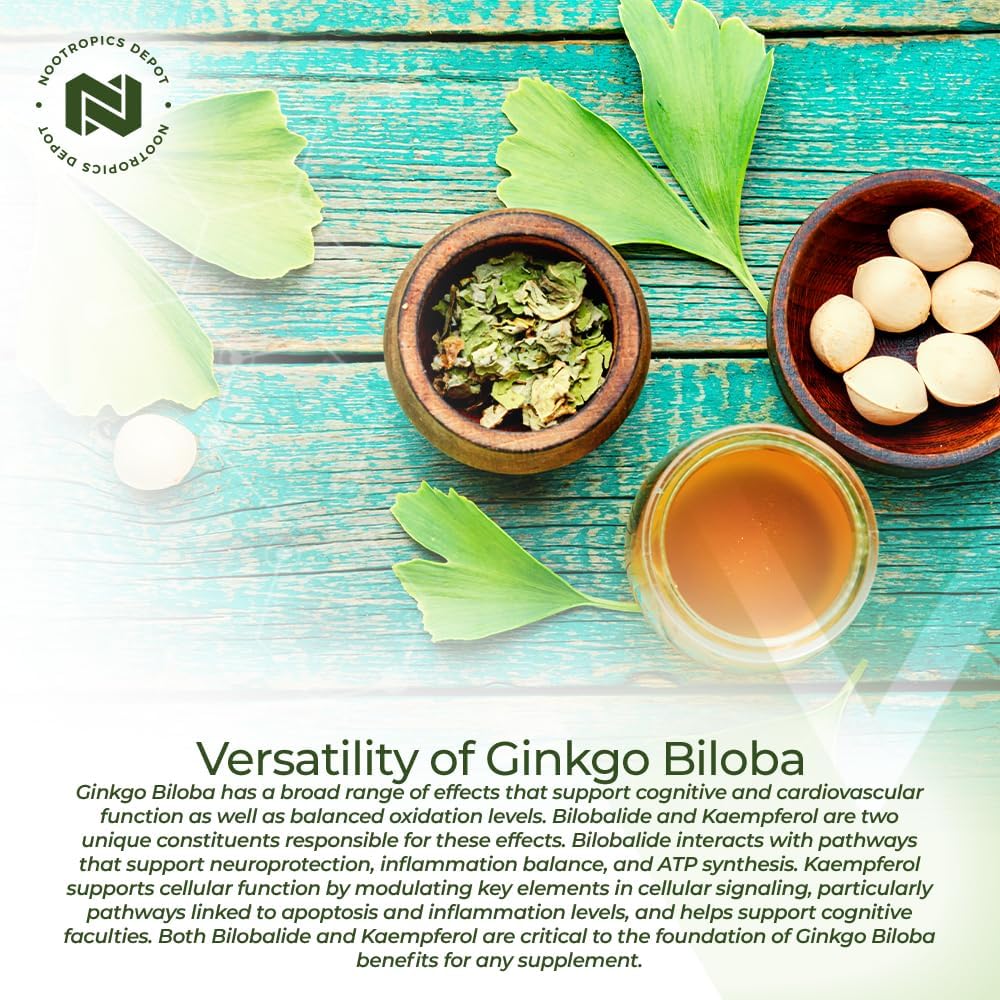 ginkgo-biloba-extract-tablets-120mg-90-count-high-kaempferol-glycoside-bilobalide-cognitive-cardiovascular-support-03-ginkgo-biloba-extract-tablets-120mg-90-count-high--4.jpg