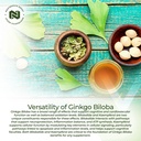 ginkgo-biloba-extract-tablets-120mg-90-count-high-kaempferol-glycoside-bilobalide-cognitive-cardiovascular-support-03-ginkgo-biloba-extract-tablets-120mg-90-count-high--4.jpg