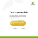 terry-naturally-curamin-capsules-360-count-natural-pain-relief-supplement-with-curcumin-boswellia-dlpa-nattokinase-non-gmo-vegan-gluten-free-120-servings-per-bottle-03-terry-naturally-curamin-capsules-360-count---natur-4.jpg