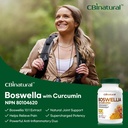high-potency-boswellia-curcumin-supplement-120-vegan-capsules-10-1-extract-333mg-boswellia-100mg-curcumin-05-high-potency-boswellia-curcumin-supplement---120-v-5.jpg