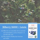 high-quality-hi-well-pure-natural-new-zealand-bilberry-lutein-supplement-60-vegetarian-capsules-02-high-quality-hi-well-pure-natural-new-zealand-bilb-3.jpg