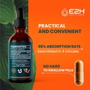 liquid-chlorophyll-turmeric-curcumin-bundle-vegan-non-gmo-2-fl-oz-each-e2h-earth-to-humans-e2h-02-liquid-chlorophyll-turmeric-curcumin-bundle---vega-3.jpg