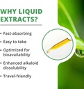 nutramedix-energy-boost-kit-astragalus-rhodiola-ginseng-schisandra-extracts-detox-drops-magnesium-capsules-03-nutramedix-energy-boost-kit---astragalus-rhodiola--6.jpg