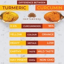 50g-premium-curcumin-turmeric-powder-natural-antioxidant-superfood-immunity-booster-ayurvedic-haldi-extract-in-resealable-bag-02-50g-premium-curcumin-turmeric-powder---natural-ant-2.jpg