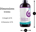 liquid-vitamin-b2-supplement-50mg-riboflavin-per-serving-highly-bioavailable-with-rapid-sorb-technology-16-fl-oz-03-liquid-vitamin-b2-supplement---50mg-riboflavin-per-3.jpg
