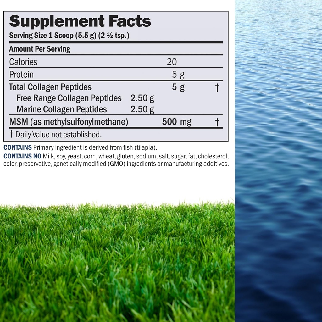 120-servings-andrew-lessman-marine-collagen-peptides-powder-with-msm-promotes-smooth-skin-and-joint-comfort-super-soluble-non-gmo-no-fishy-flavor-or-additives-02-120-servings-andrew-lessman-marine-collagen-peptid-2.jpg