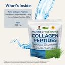 120-servings-andrew-lessman-marine-collagen-peptides-powder-with-msm-promotes-smooth-skin-and-joint-comfort-super-soluble-non-gmo-no-fishy-flavor-or-additives-03-120-servings-andrew-lessman-marine-collagen-peptid-3.jpg