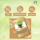 100-gm-ayurvedashree-immunity-kwath-with-natural-giloy-ashwagandha-mulethi-herbal-kadha-03-100-gm-ayurvedashree-immunity-kwath-with-natural-g-3.jpg