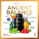 organic-raw-whole-food-vitamin-c-complex-with-bioflavanoids-60-servings-no-synthetic-ascorbic-acid-made-from-organic-oranges-and-acerola-cherries-05-organic-raw-whole-food-vitamin-c-complex-with-biof-5.jpg