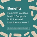 webber-naturals-high-potency-probiotics-30-billion-cfu-for-men-women-adults-shelf-stable-8-strains-30-veg-capsules-05-webber-naturals-high-potency-probiotics-30-billion-5.jpg