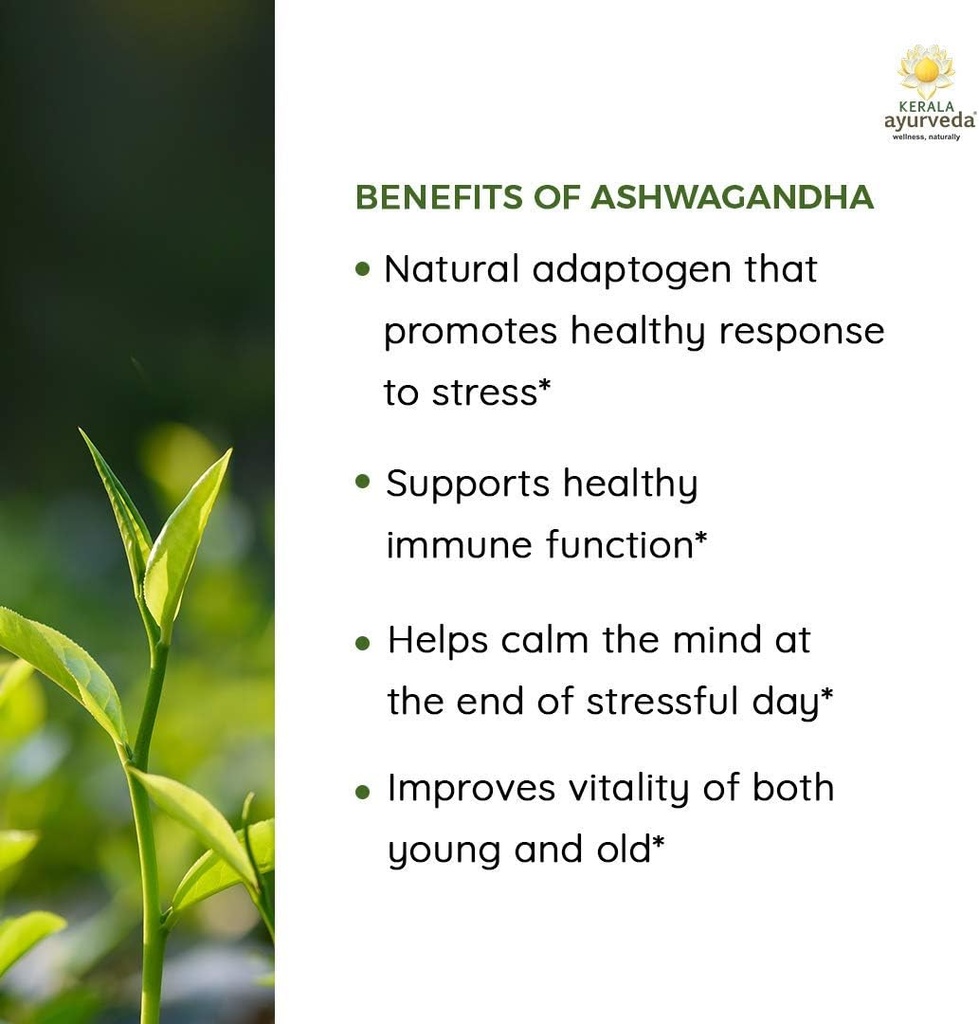 herbal-dietary-supplement-for-immune-support-stress-relief-and-sleep-ayurvedic-ashwagandha-capsules-60-count-bottle-06-herbal-dietary-supplement-for-immune-support-stres-6.jpg