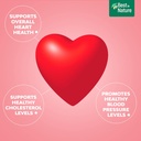 natural-heart-health-supplement-with-coq-10-salvia-miltiorrhiza-panax-pseudoginseng-30-capsules-03-natural-heart-health-supplement-with-coq-10-salvia-3.jpg