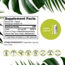 10mg-dso-l-methylfolate-supplement-90-vegan-capsules-active-folate-for-homocysteine-control-folic-acid-vitamin-eco-friendly-packaging-06-10mg-dso-l-methylfolate-supplement---90-vegan-caps-6.jpg