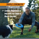 gluten-free-osteo-bi-flex-triple-strength-joint-supplement-with-glucosamine-magnesium-160-tablets-04-gluten-free-osteo-bi-flex-triple-strength-joint-su-4.jpg