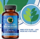 slow-release-bioactive-folic-acid-1mg-capsules-vitamin-b9-supplement-for-women-pregnancy-support-06-slow-release-bioactive-folic-acid-1mg-capsules---v-6.jpg