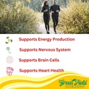 halal-vitamin-b12-1000mcg-cherry-flavored-sublingual-tablets-for-brain-and-blood-cell-health-02-halal-vitamin-b12-1000mcg-cherry-flavored-sublingu-2.jpg
