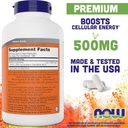 now-foods-acetyl-l-carnitine-500mg-720-veg-capsules-non-gmo-acl-500mg-supplement-for-men-and-women-02-now-foods-acetyl-l-carnitine-500mg---720-veg-capsu-2.jpg