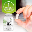 bamboo-silica-with-biotin-10000mcg-joint-and-hair-health-supplement-90-v-caps-gna-naturals-03-bamboo-silica-with-biotin-10000mcg---joint-and-hai-3.jpg