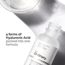 the-ordinary-hyaluronic-acid-2-b5-hydration-support-formula-30ml-skin-moisturizing-solution-05-the-ordinary-hyaluronic-acid-2-b5-hydration-suppor-5.jpg