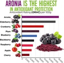 organic-aronia-juice-powder-rich-in-antioxidants-fiber-and-essential-vitamins-non-gmo-gluten-free-water-soluble-alovitox-04-organic-aronia-juice-powder-rich-in-antioxidants-f-4.jpg