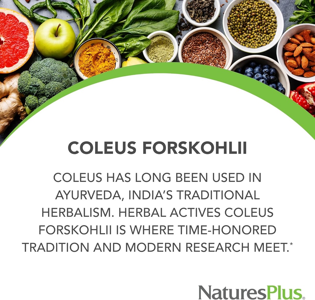 natures-plus-coleus-forskohlii-herbal-actives-capsules-60-vegetarian-capsules-gluten-free-60-servings-04-natures-plus-coleus-forskohlii-herbal-actives-caps-4.jpg