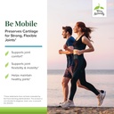 joint-support-supplement-with-type-ii-collagen-glucosamine-and-chondroitin-terry-naturally-be-mobile-60-capsules-non-gmo-gluten-free-20-servings-03-joint-support-supplement-with-type-ii-collagen-glu-3.jpg