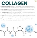 high-potency-ved-ultra-pure-collagen-hyaluronic-acid-tablets-90-count-1500mg-per-tablet-05-high-potency-ved-ultra-pure-collagen-hyaluronic-ac-5.jpg