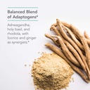 nutricology-botanical-adapt-stress-support-supplement-with-ashwagandha-rhodiola-holy-basil-60-capsules-04-nutricology-botanical-adapt-stress-support-supplem-4.jpg