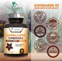 highly-concentrated-1200mg-pure-caralluma-fimbriata-extract-natural-endurance-support-capsules-for-men-women-non-gmo-vegan-supplement-180-count-04-highly-concentrated-1200mg-pure-caralluma-fimbriat-4.jpg