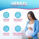 pregnancy-support-vitamin-b6-capsules-with-ginger-zinc-for-morning-queasiness-90-easy-swallow-veggie-caps-made-in-usa-03-pregnancy-support-vitamin-b6-capsules-with-ginger--3.jpg