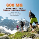 highly-concentrated-1200mg-pure-caralluma-fimbriata-extract-natural-endurance-support-capsules-for-men-women-non-gmo-vegan-supplement-180-count-07-highly-concentrated-1200mg-pure-caralluma-fimbriat-7.jpg