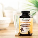 highly-concentrated-1200mg-pure-caralluma-fimbriata-extract-natural-endurance-support-capsules-for-men-women-non-gmo-vegan-supplement-180-count-09-highly-concentrated-1200mg-pure-caralluma-fimbriat-9.jpg