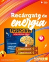 fosfo-b-12-oral-solution-and-syrup-bundle-15-ampoules-120ml-syrup-05-fosfo-b-12-oral-solution-and-syrup-bundle-15-ampou-5.jpg