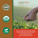 certified-organic-kalmegh-powder-vegicaps-for-immune-liver-health-vadik-herbs-04-certified-organic-kalmegh-powder-vegicaps-for-immu-4.jpg