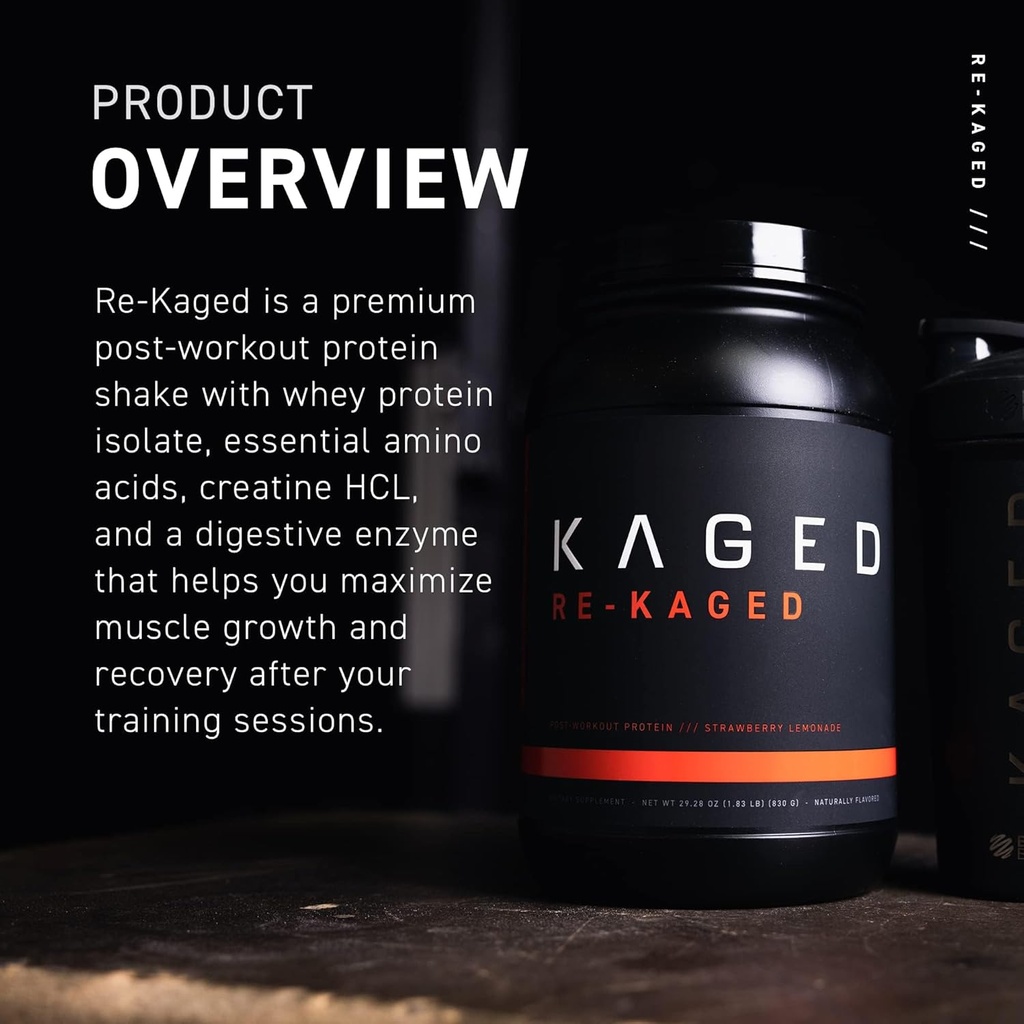 re-kaged-orange-cream-post-workout-protein-powder-with-28g-whey-protein-for-muscle-growth-recovery-low-sugar-20-servings-04-re-kaged-orange-cream-post-workout-protein-powder--4.jpg