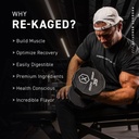 re-kaged-orange-cream-post-workout-protein-powder-with-28g-whey-protein-for-muscle-growth-recovery-low-sugar-20-servings-06-re-kaged-orange-cream-post-workout-protein-powder--6.jpg