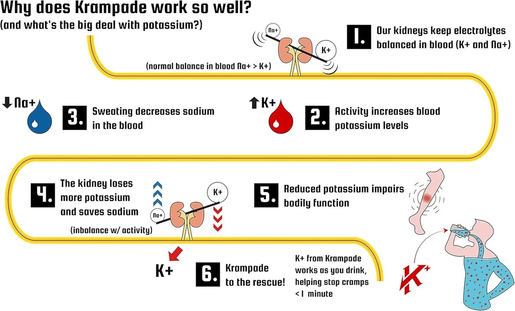 krampade-original-2k-high-potassium-electrolyte-drink-powder-for-cramp-relief-and-hydration-20-packets-lemon-lime-flavor-08-krampade-original-2k---high-potassium-electrolyte--8.jpg