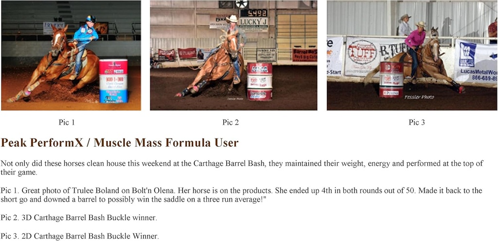 equine-gold-signature-line-peak-performx-supreme-soul-multi-vitamin-1420g-with-tribulus-body-builder-competition-recovery-nitric-oxide-health-formula-09-equine-gold-signature-line-peak-performx-supreme-s-9.jpg