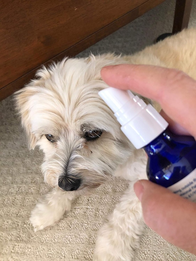 all-natural-liquid-pet-health-supplement-for-old-or-weak-pets-stabilize-your-pets-well-being-safe-for-all-pets-fast-results-1oz-spray-02-all-natural-liquid-pet-health-supplement-for-old-o-2.jpg