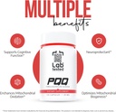 high-quality-pqq-supplements-120-capsules-20mg-lab-tested-with-3rd-party-coa-4-month-supply-05-high-quality-pqq-supplements-120-capsules-20mg---l-5.jpg