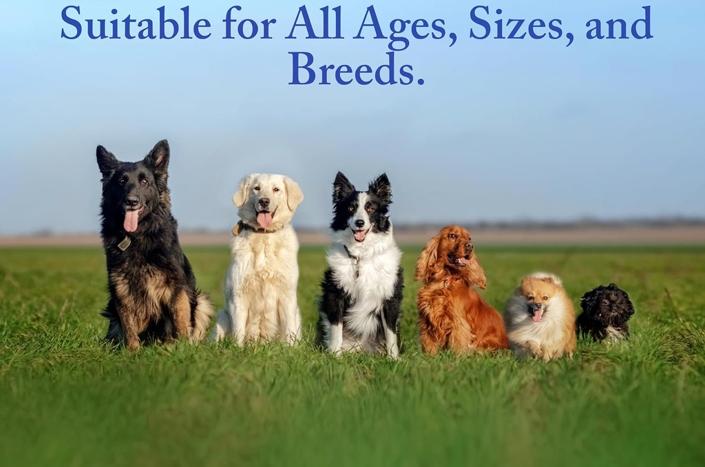 dog-skin-coat-supplement-treats-with-omega-3-6-9-salmon-oil-biotin-bacon-flavor-90-chews-allergy-relief-hot-spot-treatment-02-dog-skin-coat-supplement-treats-with-omega-369-sal-2.jpg