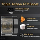 triple-action-atp-booster-gummies-with-shilajit-cordyceps-and-creatine-for-enhanced-energy-and-performance-60-sugar-free-cranberry-flavor-gummies-03-triple-action-atp-booster-gummies-with-shilajit-co-3.jpg